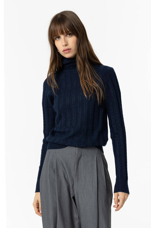 Deiopea Sweater + Colors 